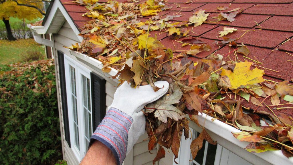 What Happens If You Don’t Clear Drains Before Rainy Season?